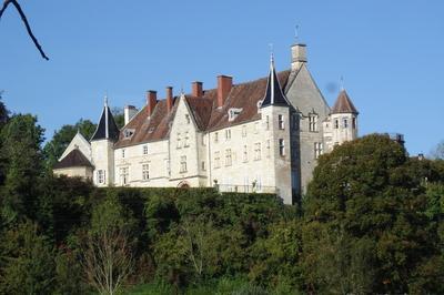 Visite guide du chteau de Montrambert  Dammartin Marpain