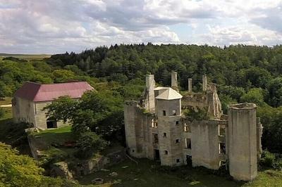 Visite guide du chteau de Rochefort  Asnires-en-Montagne  Asnieres en Montagne