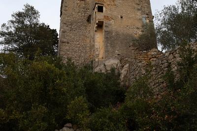 Visite guide du chteau de Roquevaire  Sauve