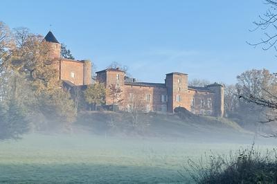 Exposition Visite Guidée Du Château Du Montellier à Le Montellier