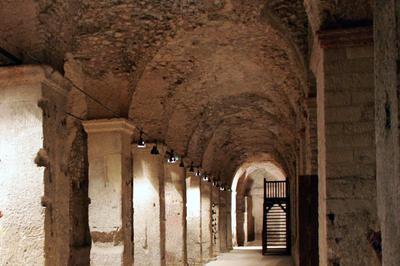 Visite Guide Du Cryptoportique Gallo-romain  Reims