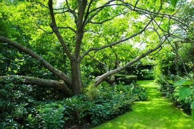 Visite guide du jardin  Doudeville