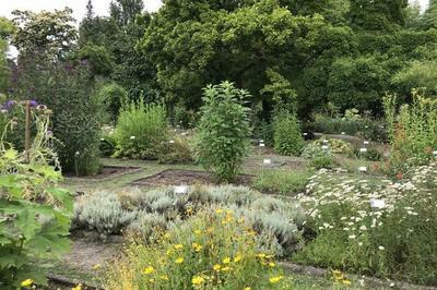 Visite guide du jardin botanique historique  Bordeaux