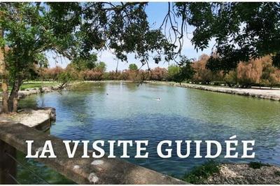 Visite guide du Marais aux Oiseaux  Dolus d'Oleron