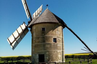 Visite guide du moulin  vent de Mig  Mige