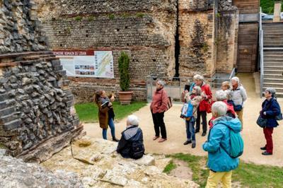 Visite guide du muse et du thtre  Lillebonne