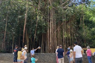 Visite guide du parcours botanique Mtissage vgtal  La Possession