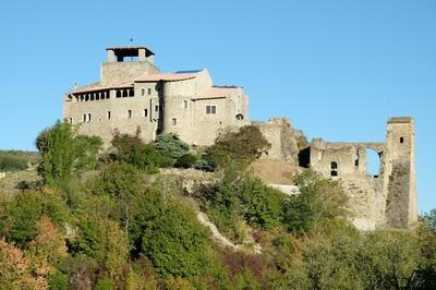 Visite guide du site mdival de Pigros  Piegros la Clastre