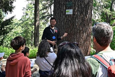 Visite guide en famille du Jardin des Plantes : L'arbre  remonter le temps  Paris 5me