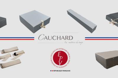 Visite guide entreprise Cauchard  Quintenas