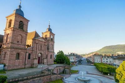 Visite guide Histoire de la Cit  Saint Di des Vosges