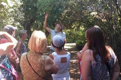 Visite guide Jardin des plantes mdicinales  Grande Synthe