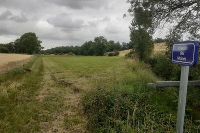 Visite guide : Des moines sur les chemins d'autrefois   Bernac