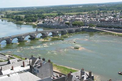 Visite Guide - Patrimoine Ligrien  Blois