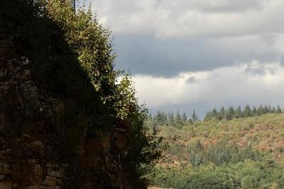 Visite guide : Radicale 1924 aux Maisons Breton/Rignault  Saint Cirq Lapopie