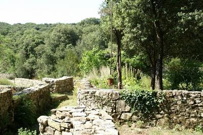 Visite guide sur l'eau dans la ville  Nimes