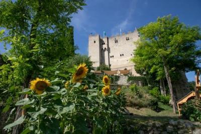 Visite guide Un donjon au Moyen ge  Crest