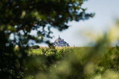 Visite guide : un jour, une espce, les oiseaux migrateurs du Couesnon  Le Mont saint Michel