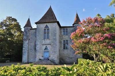 Visite historique du chteau de Panisseau  Thenac