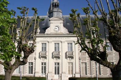 Visite Libre Ancien Htel-Dieu de Blois