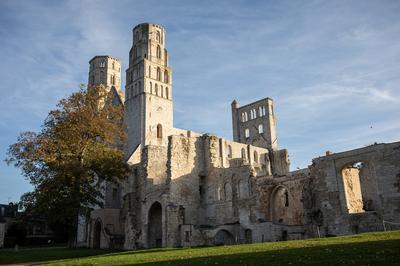 Visite libre chrono du site  Jumieges