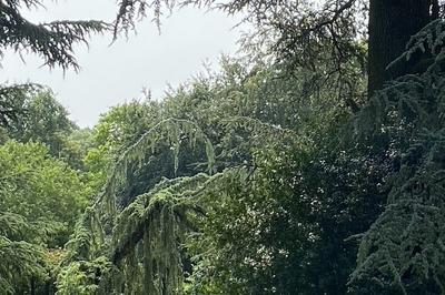 Visite libre d'un parc ouvert exceptionnellement au public !  Bellevigne