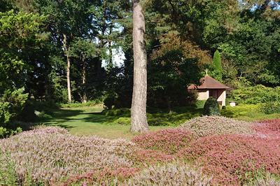 Visite libre de l'Arboretum  Ingrannes