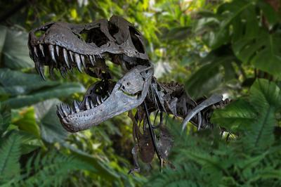 Visite Libre De L'exposition Dinosaures, L'évolution Grandeur Nature à Villers les Nancy