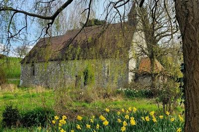 Visite libre de la chapelle  Sotteville sur Mer