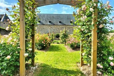 Visite libre de la roseraie David Austin  Remilly Les Marais