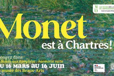 visite libre des collections du muse des beaux-arts et du tableau de Claude Monet  le Bassin aux nymphas  Chartres