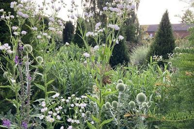 Visite libre des jardins  Guiseniers