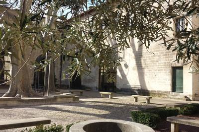 Visite Libre Du Btiment  Avignon