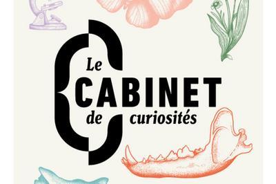 Visite libre du Cabinet de curiosit  Bordeaux