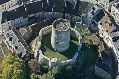 Visite libre du Donjon  Chatillon sur Indre