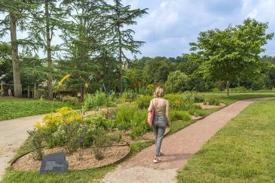 Visite libre du Jardin Camifolia  Chemill-en-Anjou