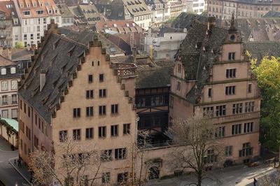 Visite libre du muse de l'oeuvre Notre-Dame  Strasbourg