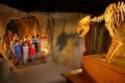 Visite Libre Du Muse De L'ours Des Cavernes  Entremont le Vieux