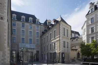 Visite Libre Du Muse Des Beaux-arts d'Angers