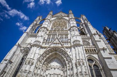 Visite libre & Expositions  la Cathdrale Saint-Pierre de Beauvais