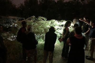 Visite nocturne du jardin botanique   Bordeaux