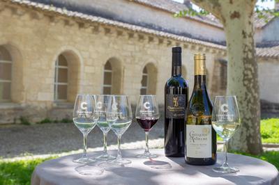 Visite oenologique avec le Cellier des Chartreux  Villeneuve les Avignon