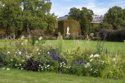 Visite promenade :  la dcouverte du jardin des Tuileries  Paris 1er