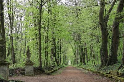 Visite- promenade du Parc historique et botanique d'Ognon  Villers-Saint-Frambourg-Ognon