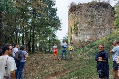 Visites commentes des vestiges du chteau de Saint-Germain d'Ambrieu  Amberieu en Bugey