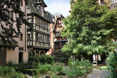 visites coups de projecteurs au fminin  Strasbourg