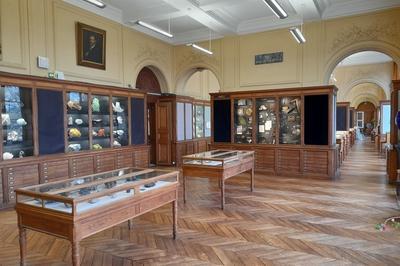 Visites Des Collections De Minralogie, De Mtorites Et Pierres Prcieuses  Paris 5me