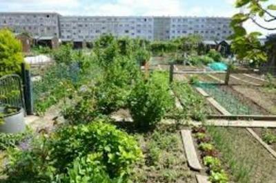 Visites des jardins familiaux de Versailles