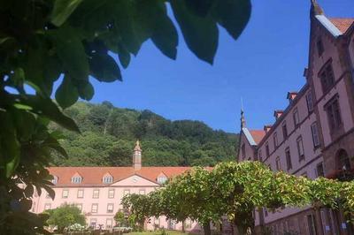 Visites guides d'un chteau-couvent  Oberbronn