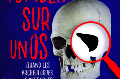 Visites Guides De L'exposition Tomber Sur Un Os, Quand Les Archologues Font Parler Les Morts  Louvres